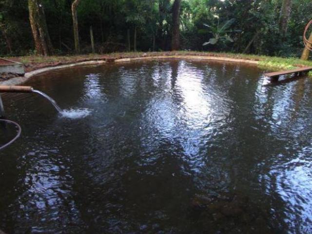 Terreno venda em Região Geográfica Imediata de Maringá, Sarandi