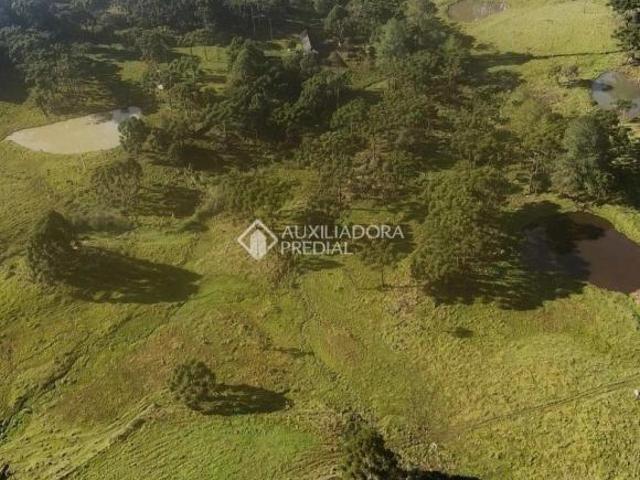 Sítio e chácara venda em Região Geográfica Imediata de Goiás - Itapuranga, Nova Crixás