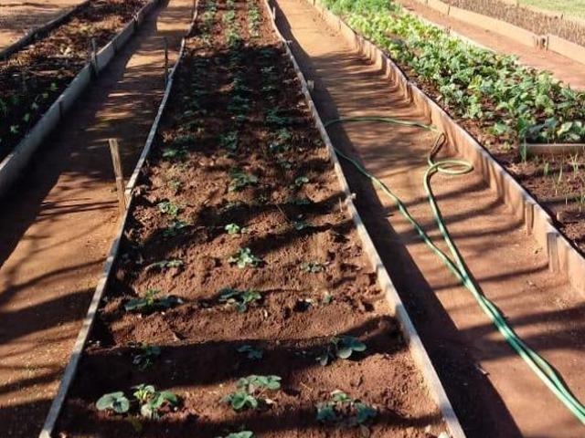Sítio e chácara venda em Região Geográfica Imediata de Novo Hamburgo - São Leopoldo, Região Metropolitana de Porto Alegre