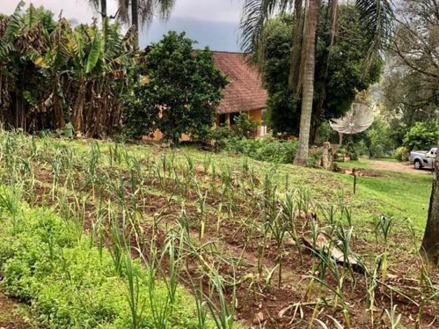 Sítio e chácara venda em Picada Café, Região Geográfica Intermediária de Caxias do Sul