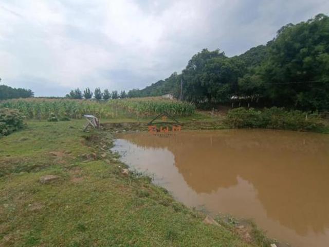 Sítio e chácara venda em Região Geográfica Imediata de Caxias do Sul, Farroupilha