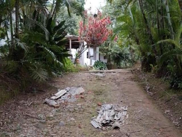 Sítio e chácara venda em Sete Barras, Região Geográfica Intermediária de Sorocaba