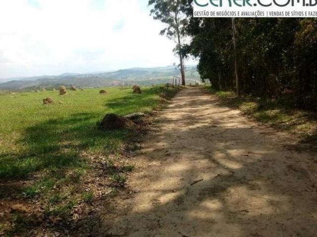Sítio e chácara venda em Piedade dos Gerais, Região Geográfica Intermediária de Divinópolis
