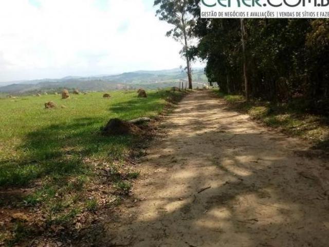 Sítio e chácara venda em Região Geográfica Imediata de Oliveira, Piedade dos Gerais