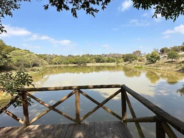 Sítio e chácara venda em Amaral, Carmópolis de Minas