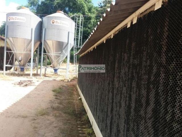 Sítio e chácara venda em Grajaú, Pedreira