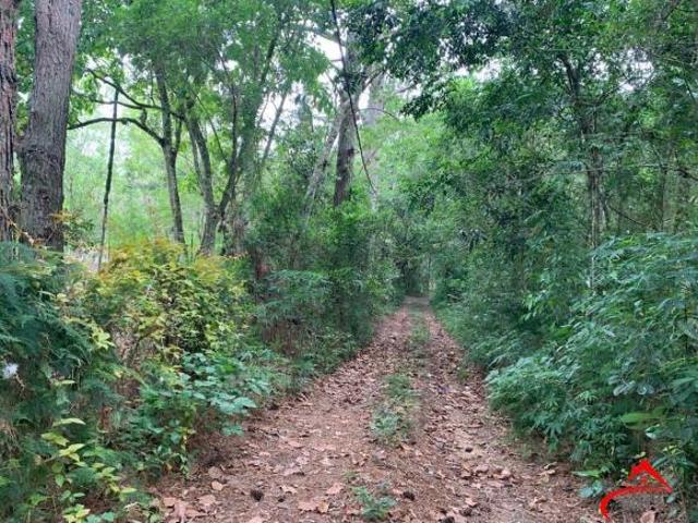 Sítio e chácara venda em Região Geográfica Imediata de Porto Alegre, Região Metropolitana de Porto Alegre