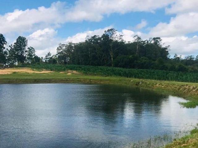 Sítio e chácara venda em Região Geográfica Imediata de Pelotas, Aglomeração Urbana do Sul