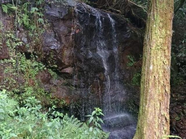 Sítio e chácara venda em Região Geográfica Imediata de Novo Hamburgo - São Leopoldo, Santa Maria do Herval