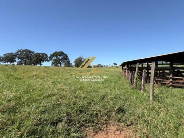 Sítio e chácara venda em Região Imediata de São José do Rio Preto, Região Metropolitana de São José do Rio Preto