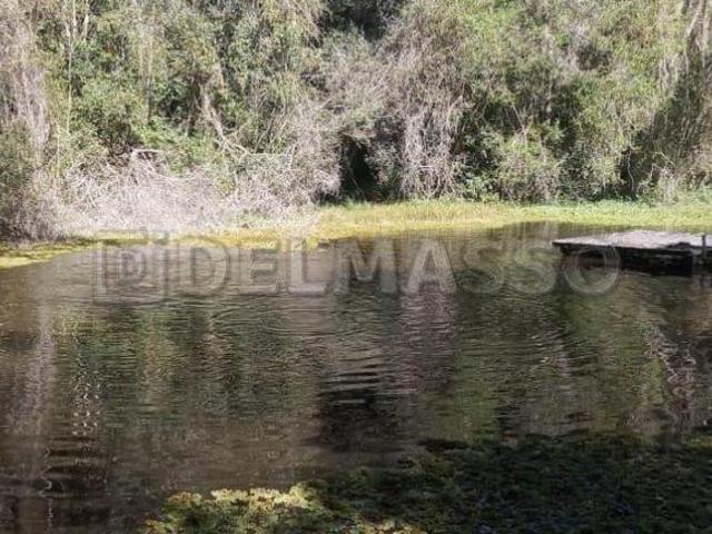 Sítio e chácara venda em Região Imediata de Sorocaba, Região Metropolitana de Sorocaba