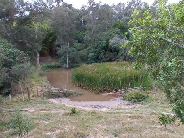 Sítio e chácara venda em Piedade