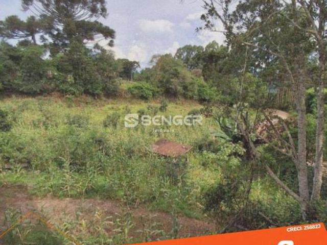 Sítio e chácara venda em Região Geográfica Imediata de Bento Gonçalves, Cotiporã