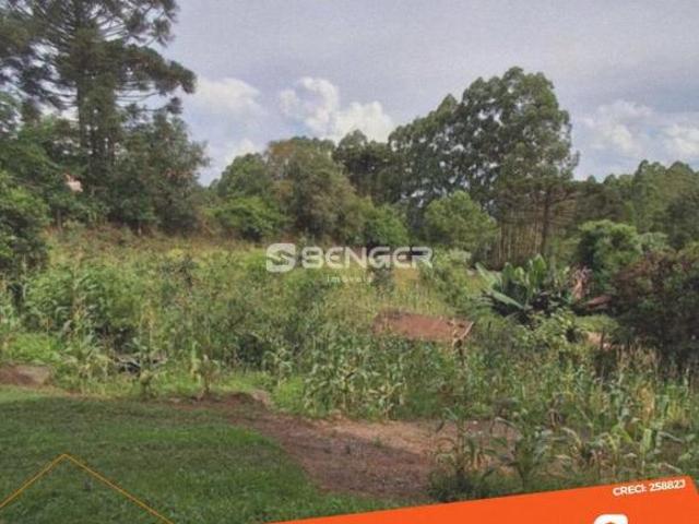 Sítio e chácara venda em Região Geográfica Imediata de Bento Gonçalves, Cotiporã