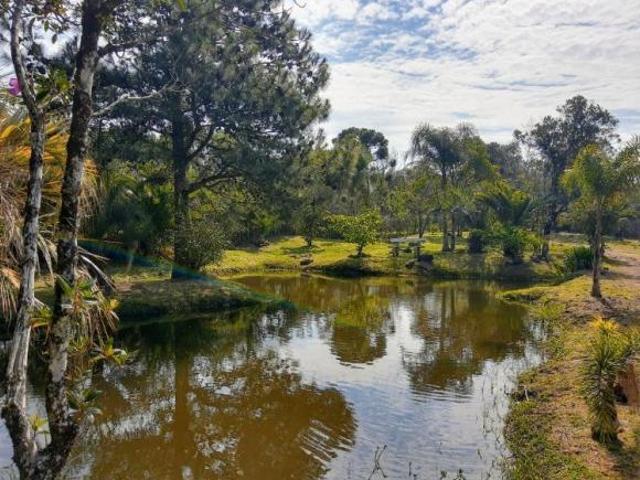 Sítio e chácara venda em Região Geográfica Imediata de Novo Hamburgo - São Leopoldo, Morro Reuter