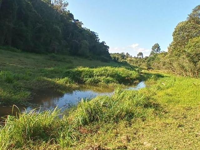 Sítio e chácara venda em Sarapuí, São Paulo
