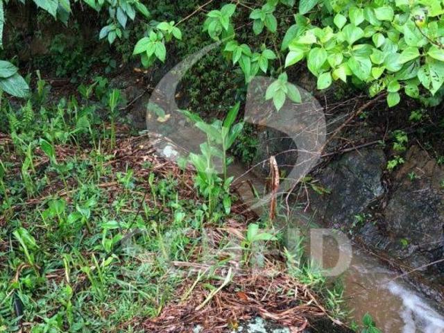 Sítio e chácara venda em Centro, Cambuí