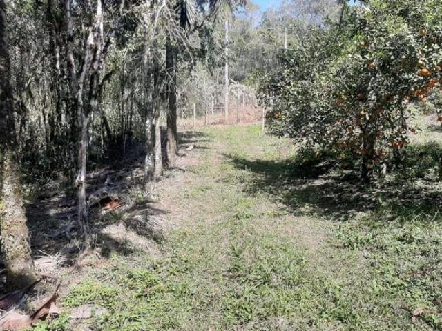 Sítio e chácara venda em Tapiraí, São Paulo