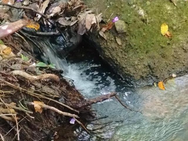Sítio e chácara venda em Região Geográfica Imediata de Uruaçu - Niquelândia, Colinas do Sul