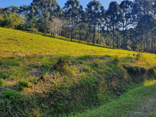 Sítio e chácara venda em Juquitiba