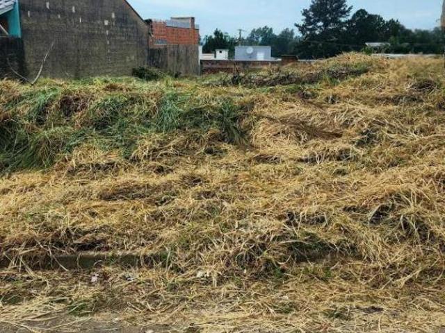 Terreno venda em Região Geográfica Imediata de Novo Hamburgo - São Leopoldo, Região Metropolitana de Porto Alegre