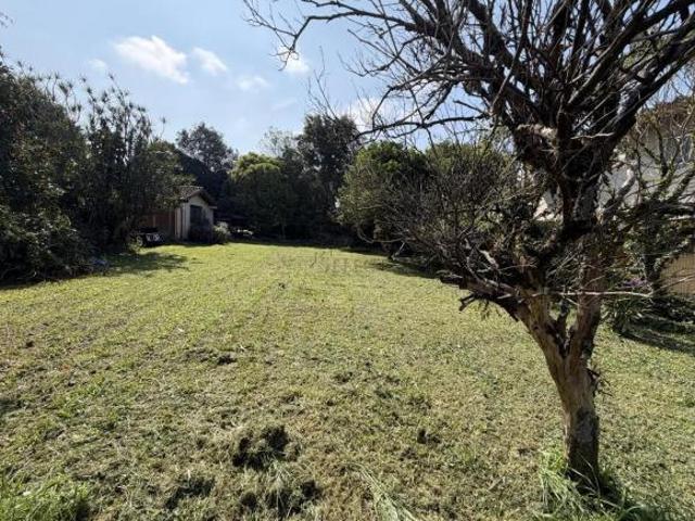 Terreno venda em Campo Bom