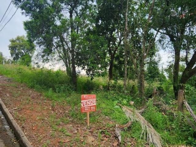Terreno venda em Região Geográfica Imediata de Novo Hamburgo - São Leopoldo, Região Metropolitana de Porto Alegre