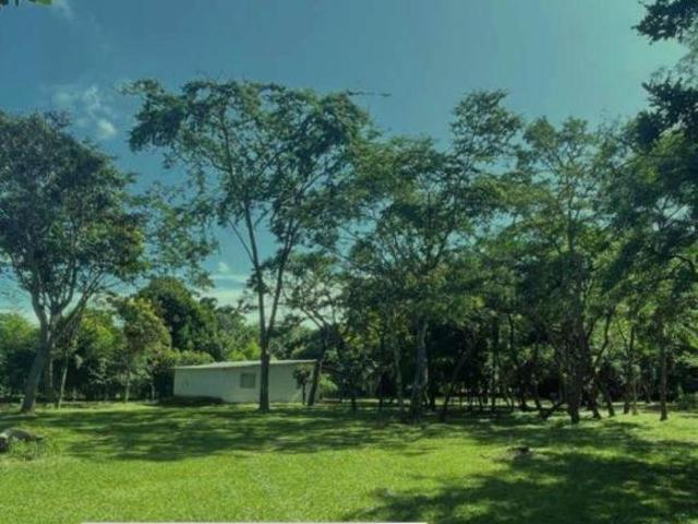 Terreno venda em Região Geográfica Imediata do Distrito Federal, Região Integrada de Desenvolvimento do Distrito Federal e Entorno