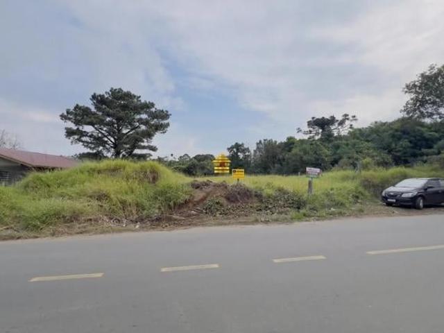 Terreno venda em Vista Alegre, São Leopoldo