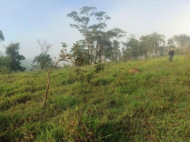 Terreno venda em Região Geográfica Imediata de Conselheiro Lafaiete, Belo Vale