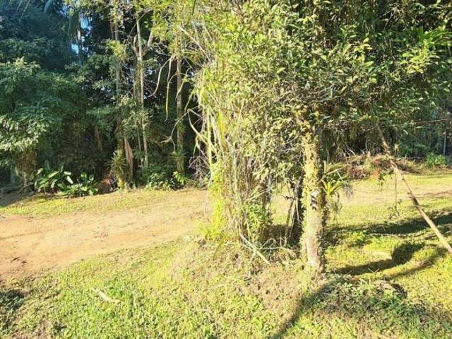 Terreno venda em Região Geográfica Imediata de Paranaguá, Morretes