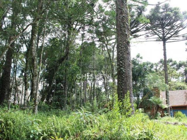 Terreno venda em Região Geográfica Imediata de Caxias do Sul, Gramado