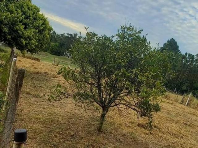 Terreno venda em Região Geográfica Imediata de Porto Alegre, Região Metropolitana de Porto Alegre