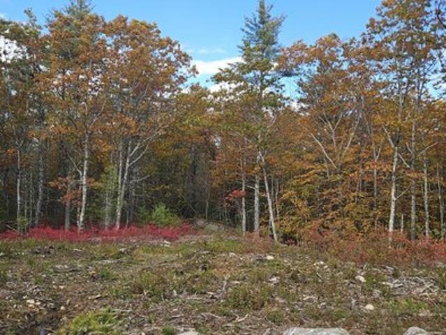 Land for sale in South Berwick, Maine