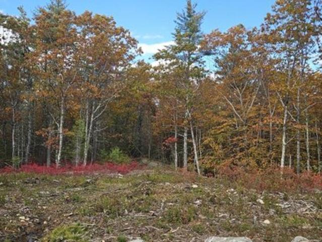 Land for sale in South Berwick, Maine