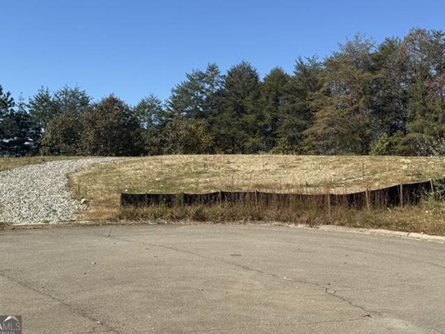 Land for sale in Blue Ridge, Georgia