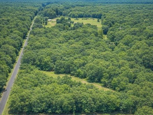 Land for sale in Big Sandy, Upshur County
