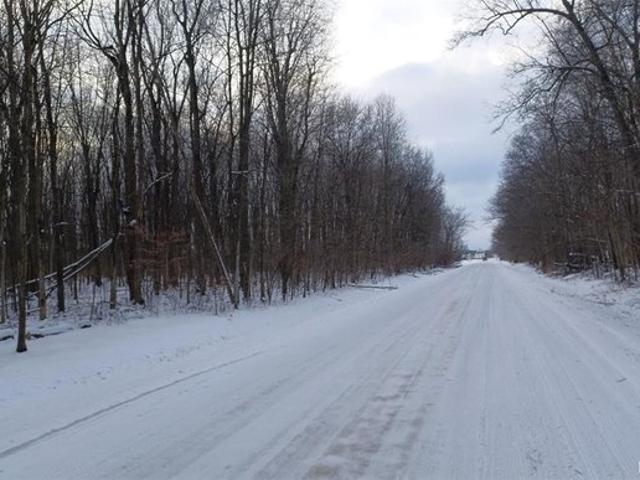 Land for sale in Casco, Michigan