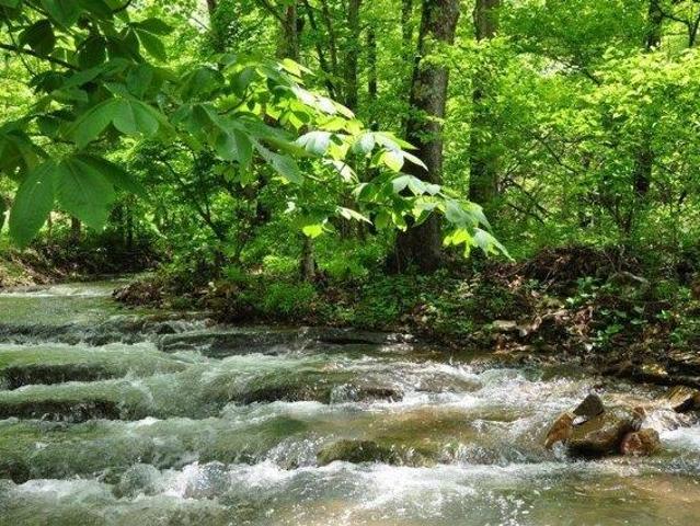 Land for sale in West Virginia