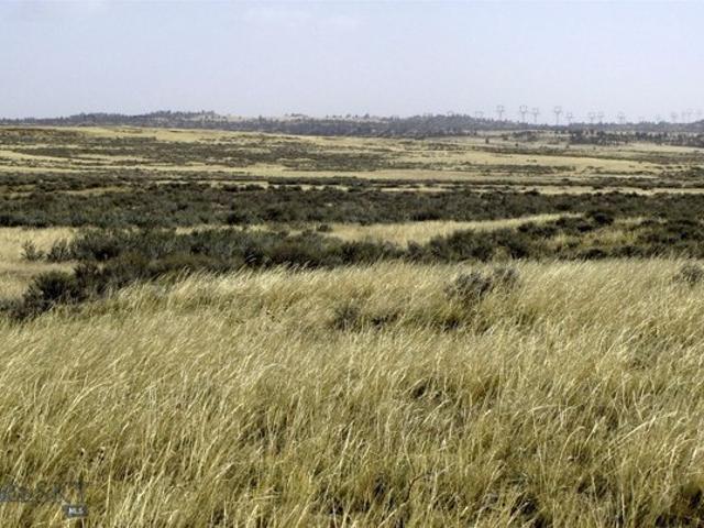 Land for sale in Montana