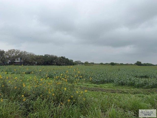 Land for sale in Cameron, Texas