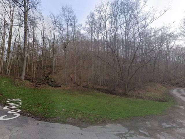 Land for sale in Horner, West Virginia