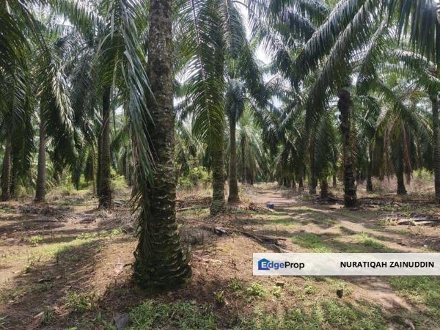 Shop for sale in Negeri Sembilan