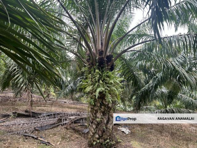 Shop for sale in Negeri Sembilan