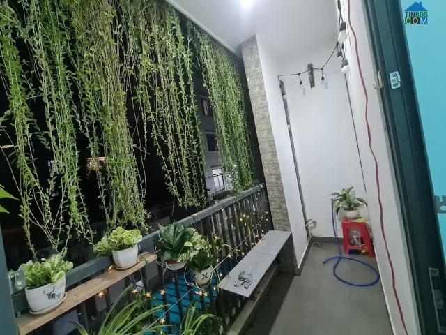 Nhà bán tại Thủ Đức, Hồ Chí Minh