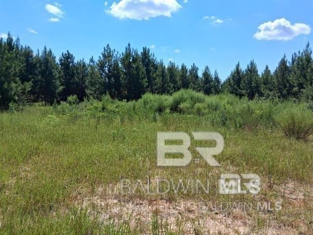 Land for sale in Robertsdale, Alabama