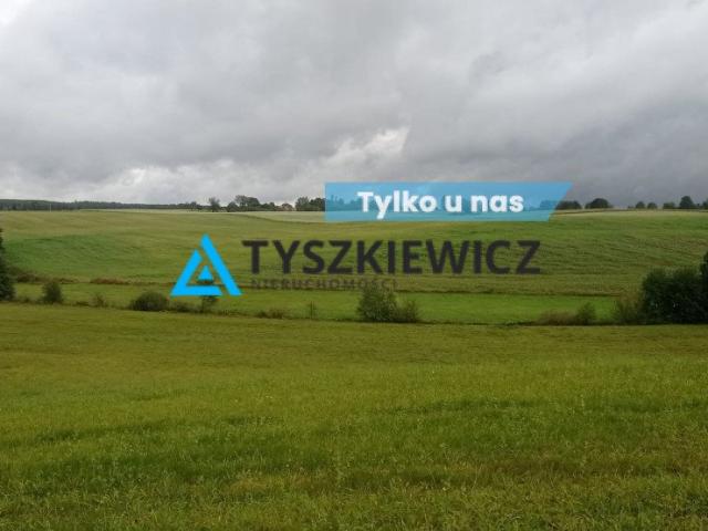 Grunt na sprzedaż w Liniewo, Pomorskie