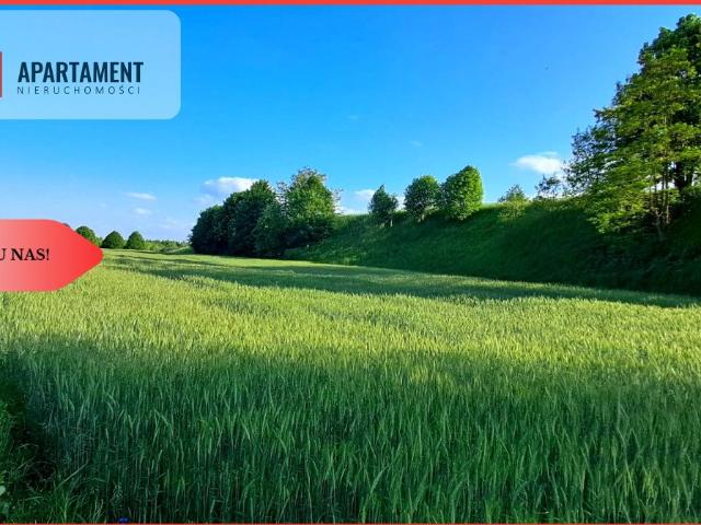 Grunt na sprzedaż w Liniewo, Pomorskie