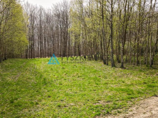 Grunt na sprzedaż w Liniewo, Pomorskie