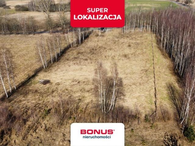 Grunt na sprzedaż w Liniewo, Pomorskie